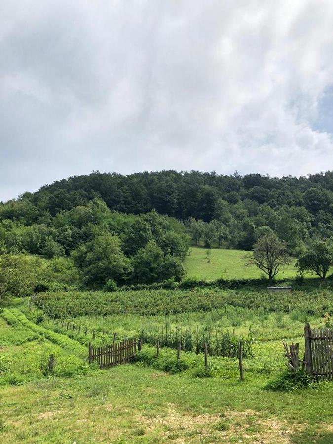 Guesthouse Smiljanic Slavkovica Luaran gambar