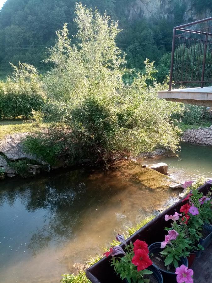Guesthouse Smiljanic Slavkovica Luaran gambar