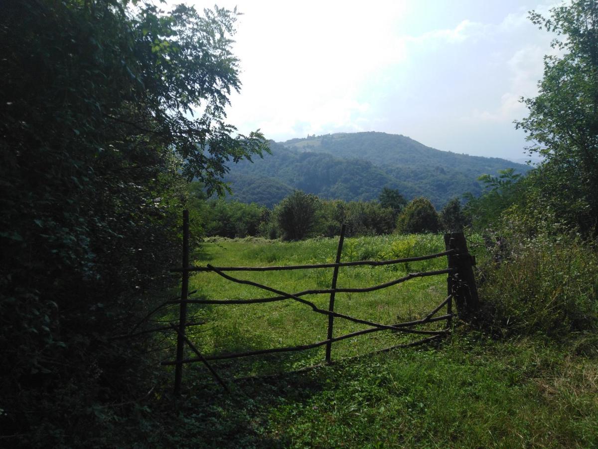 Guesthouse Smiljanic Slavkovica Luaran gambar
