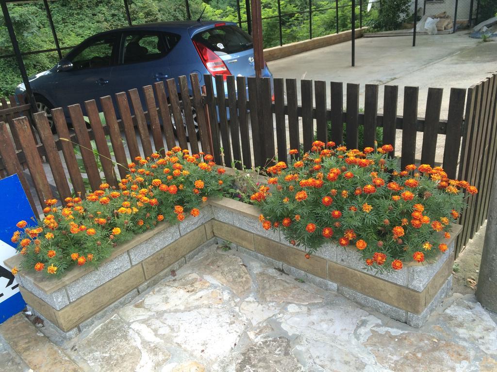 Guesthouse Smiljanic Slavkovica Luaran gambar