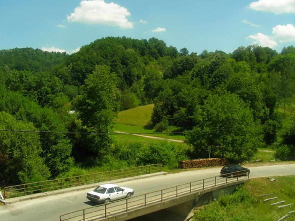 Guesthouse Smiljanic Slavkovica Luaran gambar