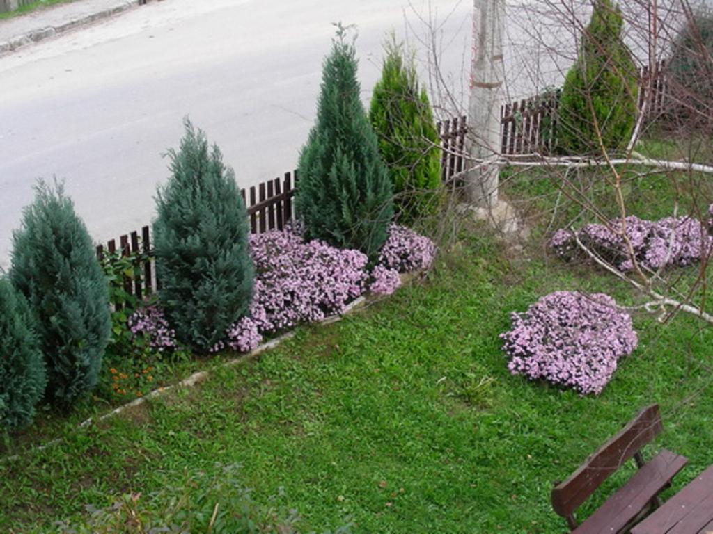 Guesthouse Smiljanic Slavkovica Luaran gambar