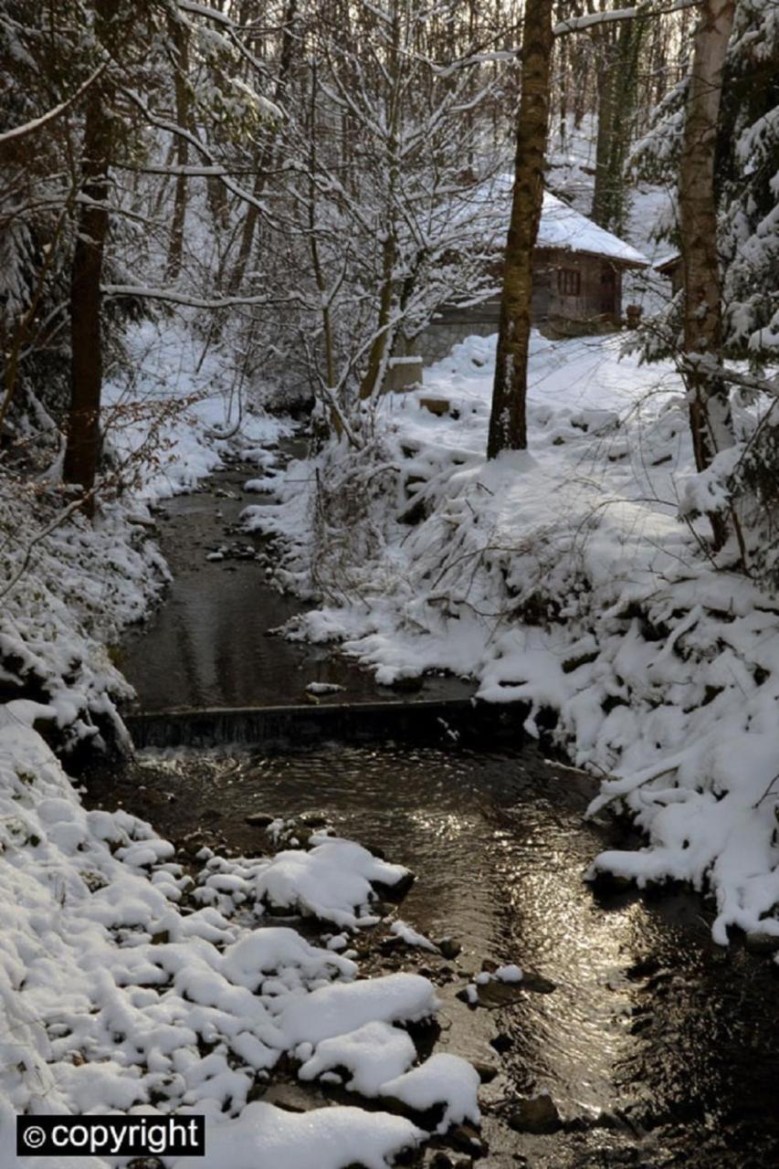 Guesthouse Smiljanic Slavkovica Luaran gambar
