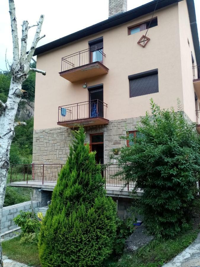 Guesthouse Smiljanic Slavkovica Luaran gambar